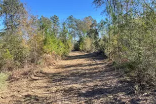 0000 Arrant Rd, Westville, FL 32464 - Photo 1