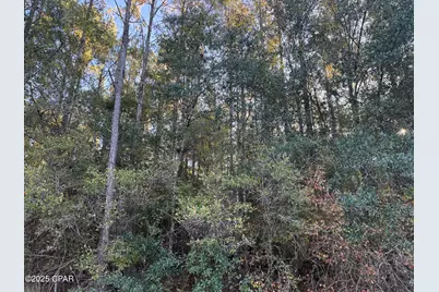 0000 County Road 160, Bonifay, FL 32425 - Photo 1