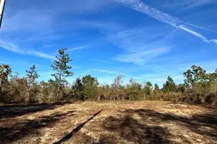 3015 Castillo Dr, Alford, FL 32420 - Photo 1