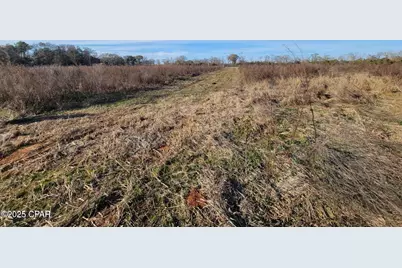 Tbd Gainer Cemetery Road, Graceville, FL 32440 - Photo 1