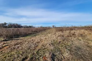 Tbd Gainer Cemetery Rd, Graceville, FL 32440 - Photo 1