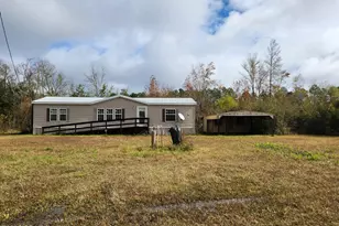 334 Old Bay City Rd, Wewahitchka, FL 32465 - Photo 1