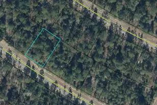 Lot 13 Gulliver Dr, Chipley, FL 32428 - Photo 1