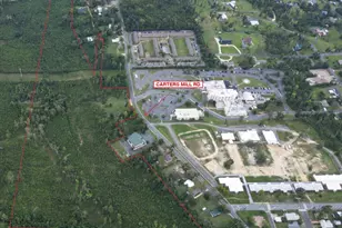 0 Carters Mill Rd, Marianna, FL 32446 - Photo 1