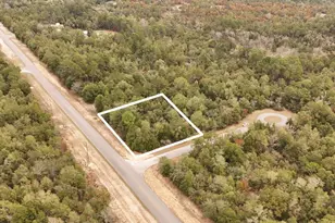 Lot 29 Deer Ct, Chipley, FL 32428 - Photo 1