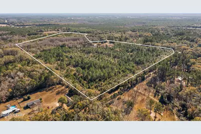 2539 Davids Road, Vernon, FL 32462 - Photo 1