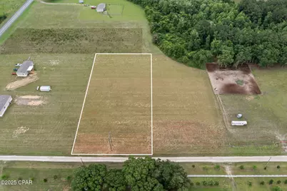 Xxx Tullie Road #North Lot, Graceville, FL 32440 - Photo 1