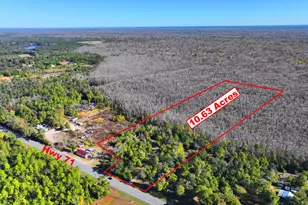 3760 S Hwy 71, Wewahitchka, FL 32465 - Photo 1