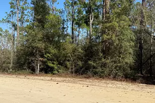 001 Anderson Dr, Alford, FL 32420 - Photo 1