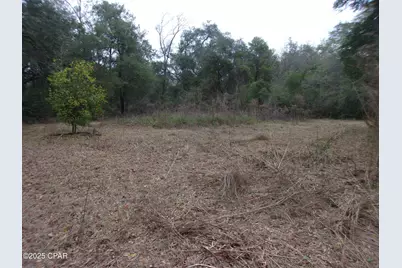 1724 Highway 173, Bonifay, FL 32425 - Photo 1