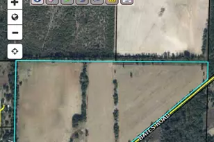 0000 Bates Rd, Greenwood, FL 32443 - Photo 1