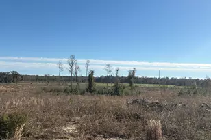 4980 Heisler Rd, Graceville, FL 32440 - Photo 1