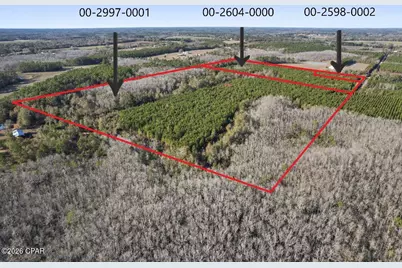 0 New Prospect Road, Chipley, FL 32428 - Photo 1