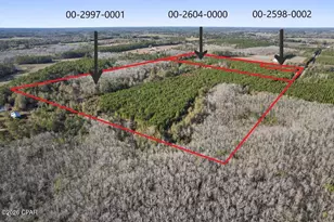 0 New Prospect Rd, Chipley, FL 32428 - Photo 1