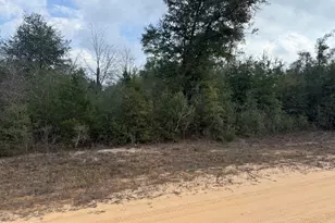 00 Kokomo Ave, Alford, FL 32420 - Photo 1