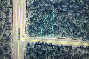 0 Greenbrier Dr, Chipley, FL 32428 - Photo 1