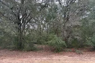 00 Leaf Ct, Marianna, FL 32448 - Photo 1