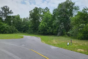 Tbd Deer Ct, Chipley, FL 32428 - Photo 1
