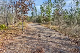 4343 NW Twin Ponds Rd, Altha, FL 32421 - Photo 1