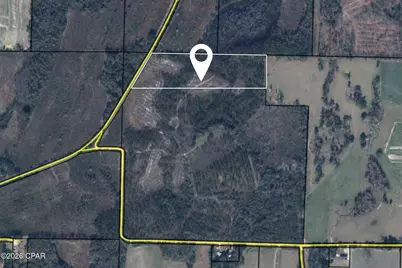Xxx Piano Road, Graceville, FL 32440 - Photo 1