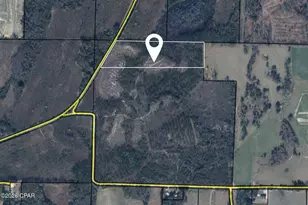 Xxx Piano Rd, Graceville, FL 32440 - Photo 1