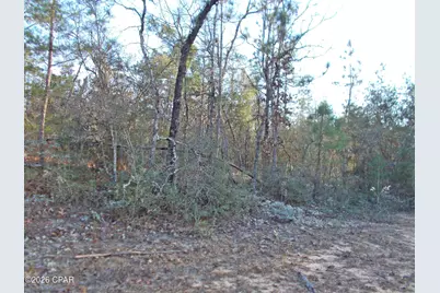 Lot 11 Rim Court #unit  3, Marianna, FL 32448 - Photo 1