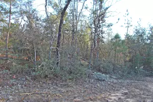 Lot 11 Rim Ct, Marianna, FL 32448 - Photo 1