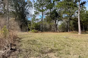 00 Welcome Church Rd, Sneads, FL 32460 - Photo 1