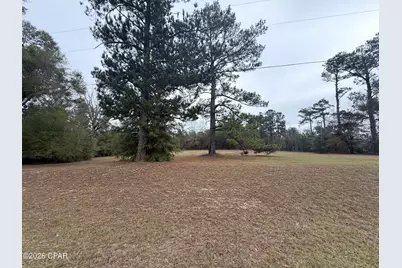 2054 Dairy Road, Sneads, FL 32460 - Photo 1