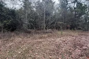 0 Dairy Rd, Sneads, FL 32460 - Photo 1