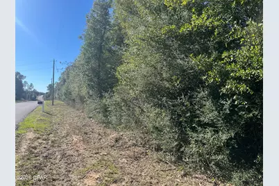 Xxx Sweetwater Branch, Fountain, FL 32438 - Photo 1