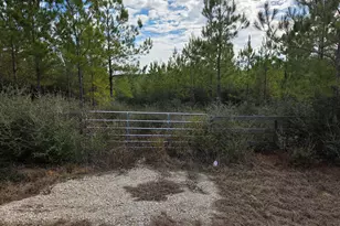 Xxx NW Church Rd, Altha, FL 32421 - Photo 1