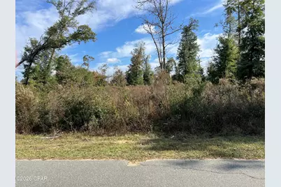 00 Magnolia Blossom Lane, Marianna, FL 32446 - Photo 1
