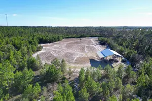 16078 NW Longbranch St, Bristol, FL 32321 - Photo 1