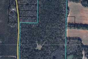 00 Dudley Rd, Marianna, FL 32446 - Photo 1