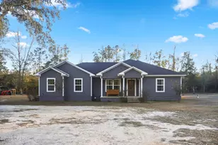 16989 NW Eg Buck Larkins Rd, Bristol, FL 32321 - Photo 1