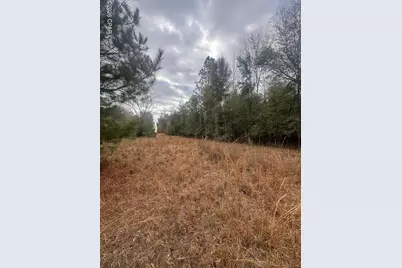 7930 Broken Oak Drive, Sneads, FL 32460 - Photo 1