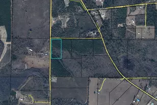 Tbd Mutual Rd, Cottondale, FL 32431 - Photo 1