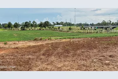 Hwy 69, Grand Ridge, FL 32442 - Photo 1