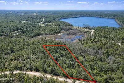 Lot 14 Frederica Drive, Alford, FL 32420 - Photo 1