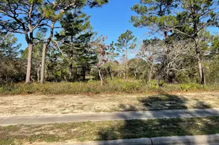 131 Laughing Gull Ln, Carrabelle, FL 32322 - Photo 1