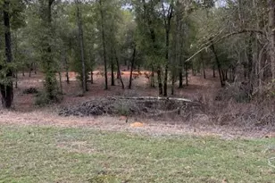 2816 Territory Rd, Chipley, FL 32428 - Photo 1