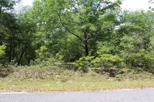 Lot 4 Arnone Ln, Chipley, FL 32428 - Photo 1