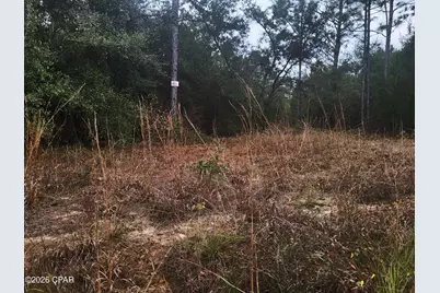 00 Chason Road, Marianna, FL 32448 - Photo 1