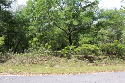 Lot 5 Arnone Lane, Chipley, FL 32428 - Photo 1