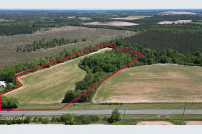 0010 Peanut Road, Graceville, FL 32440 - Photo 1
