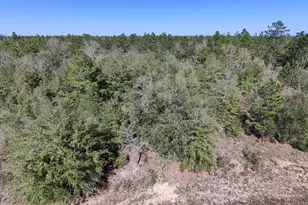 Lot 12 Gondolier Dr, Chipley, FL 32428 - Photo 1