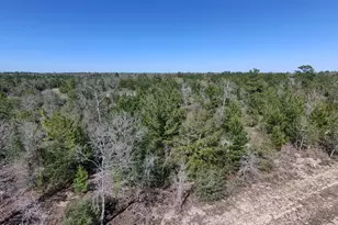 Lot 55 Dandelion Dr, Chipley, FL 32428 - Photo 1