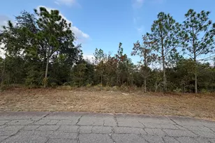 Lot 18 Oslo Pl, Chipley, FL 32428 - Photo 1