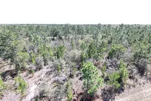 Lot 12 Windmill St, Chipley, FL 32428 - Photo 1